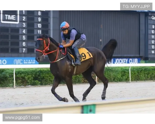 第54期赛马开奖结果最新公布